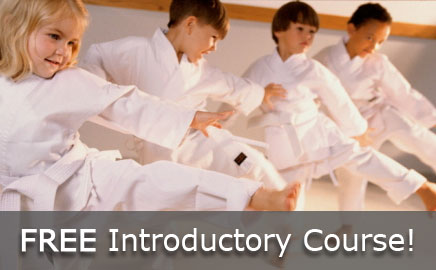 Martial Arts Lessons for Children